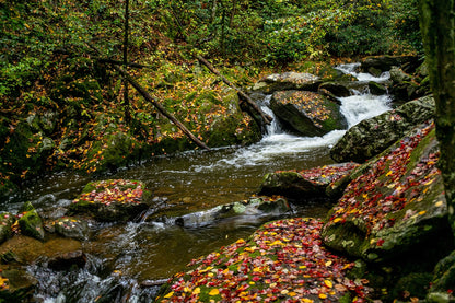 Wester North Carolina Stream - Fall