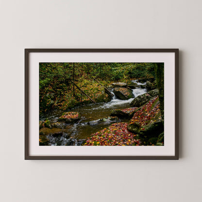 Wester North Carolina Stream - Fall