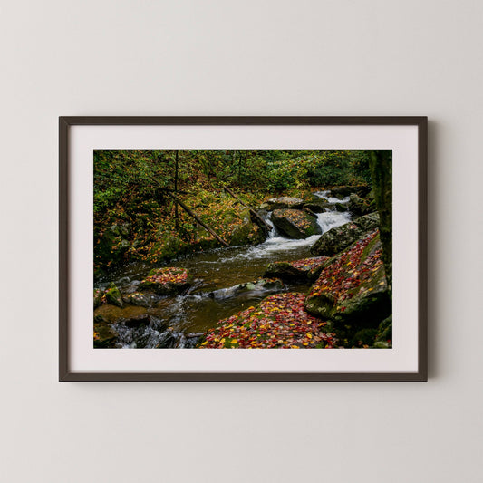 Wester North Carolina Stream - Fall