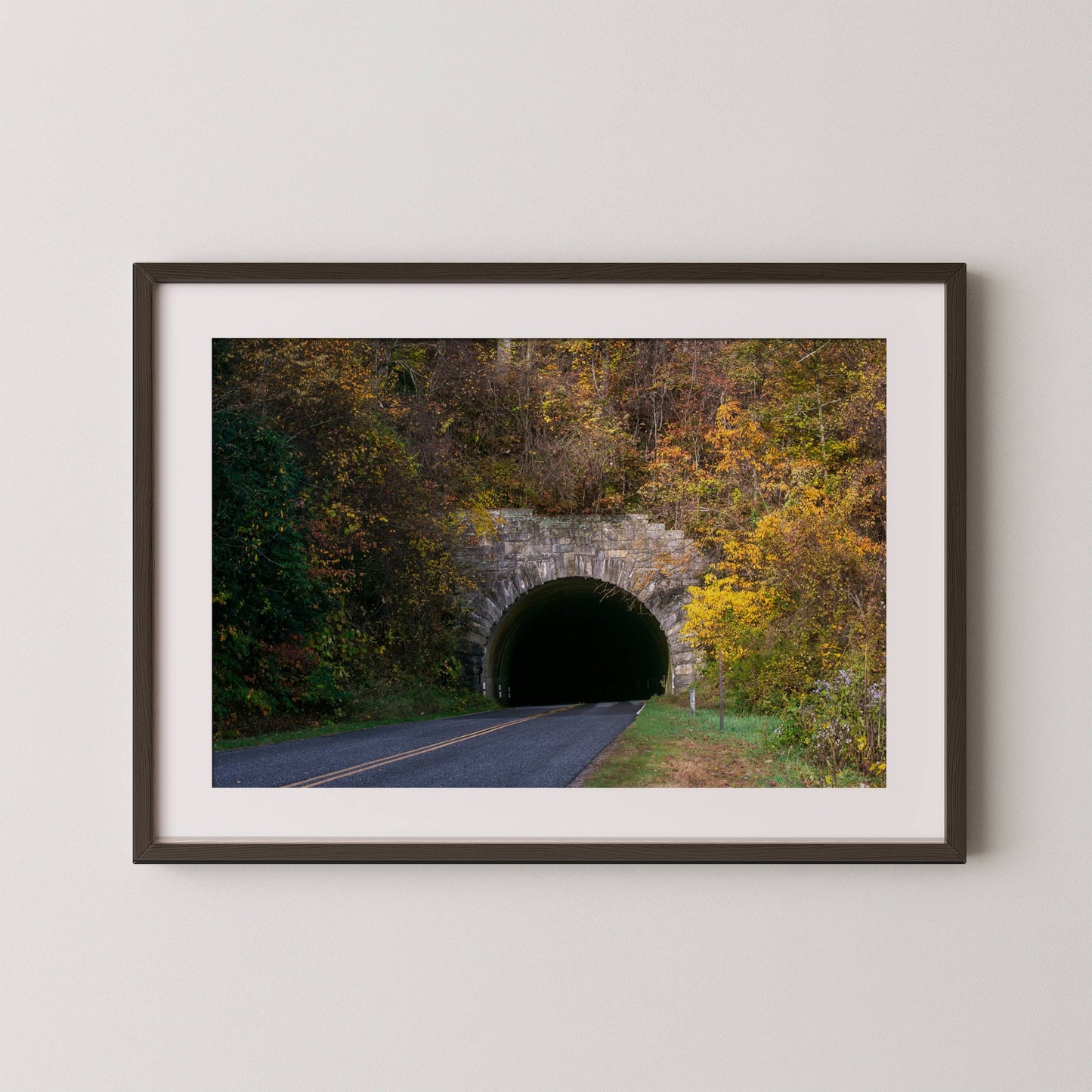 Blue Ridge Parkway Tunnel - Fall