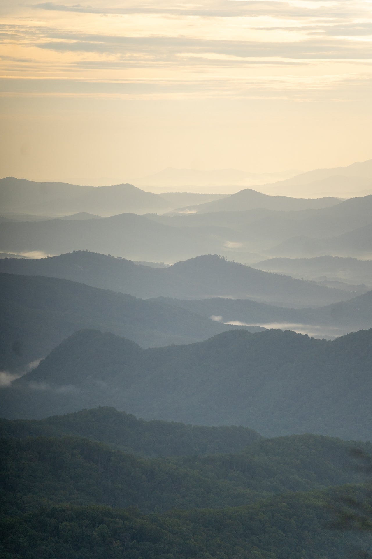Blue Ridge Parkway Sunset - Yellow