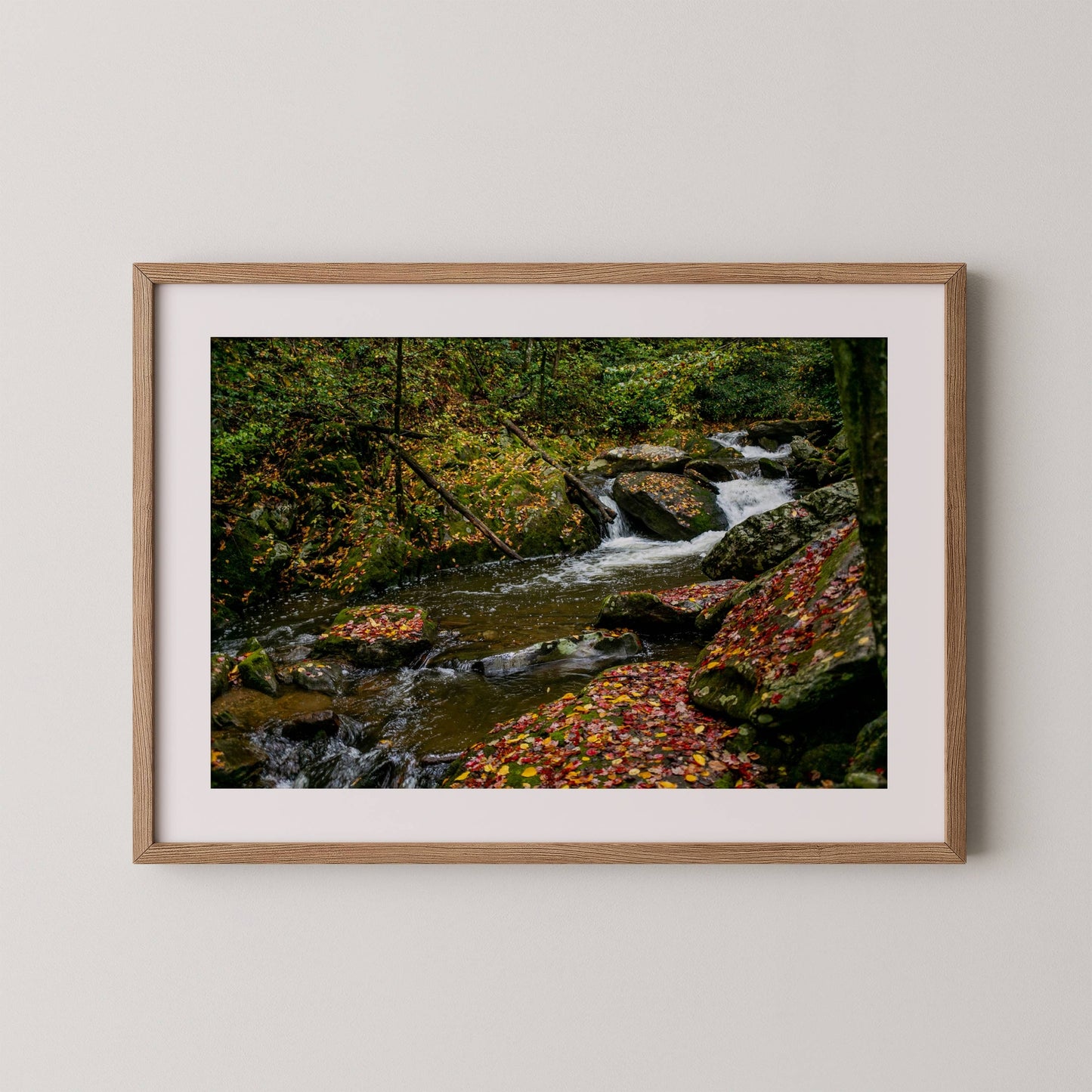 Wester North Carolina Stream - Fall