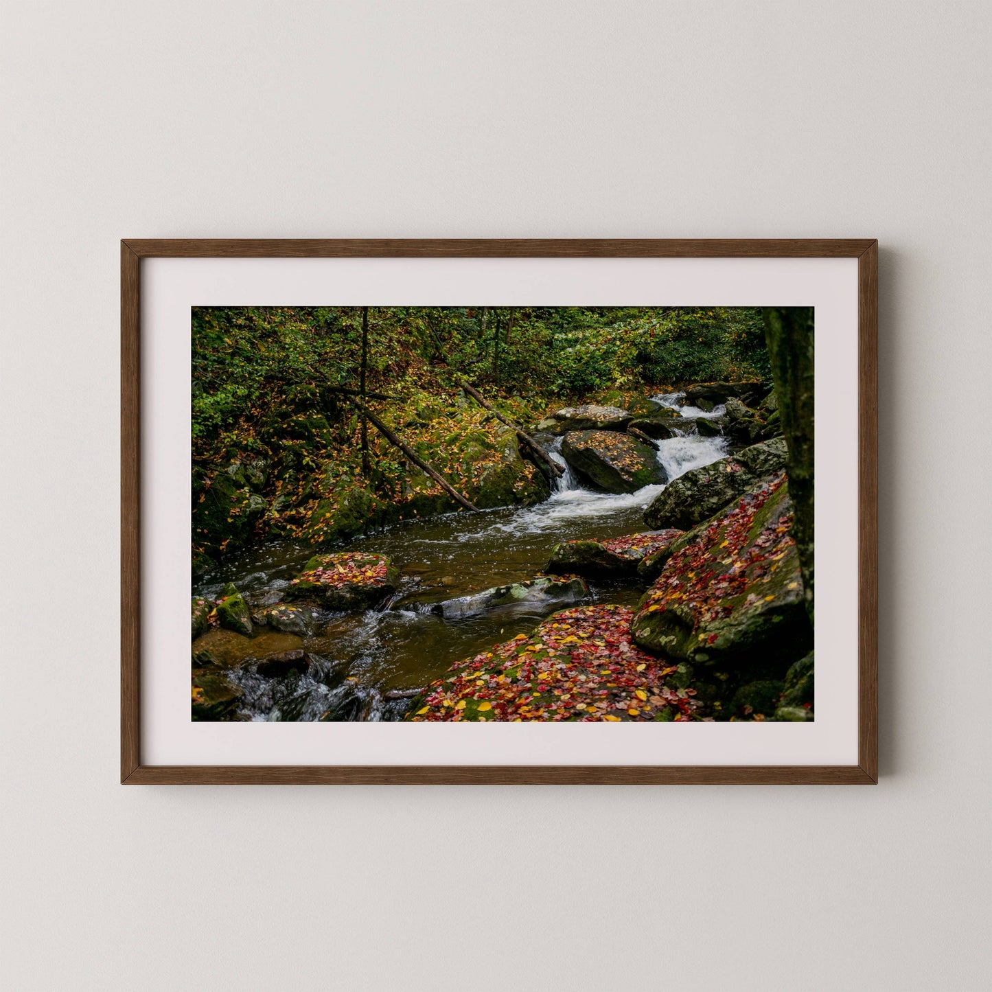 Wester North Carolina Stream - Fall