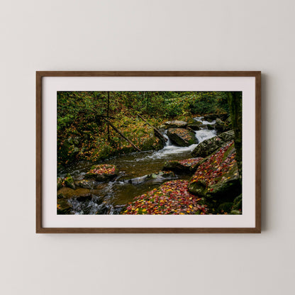 Wester North Carolina Stream - Fall