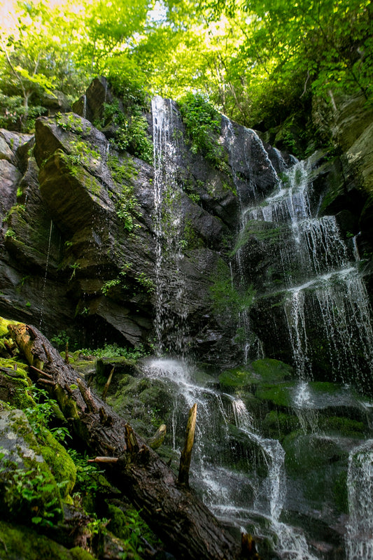 English Falls - Summer