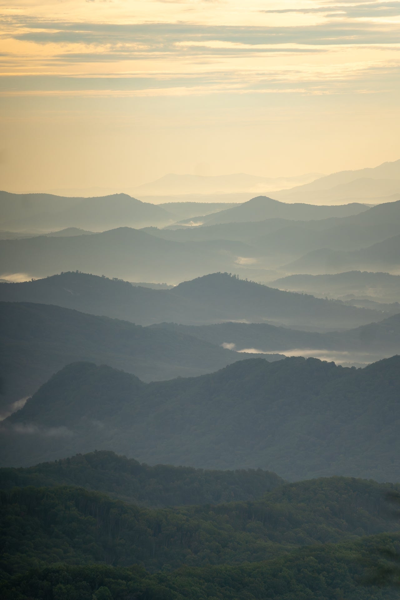 Blue Ridge Parkway Sunset - Green to Gold